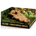 EXO TERRA Crocodile Skull (crocodile skull)